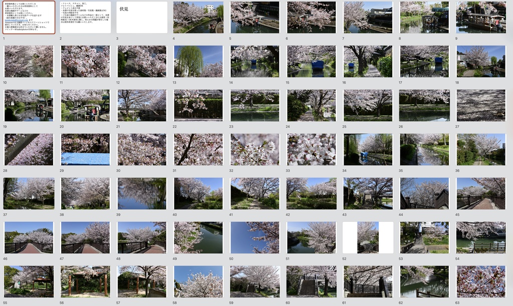 【背景資料画像】桜のある風景