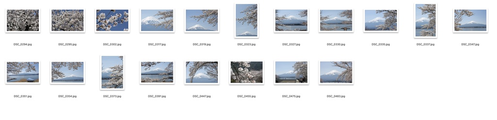 【背景資料画像】桜のある風景