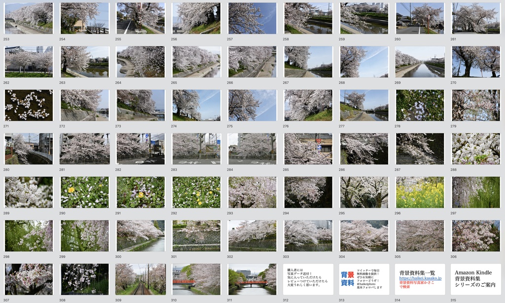 【背景資料画像】桜のある風景