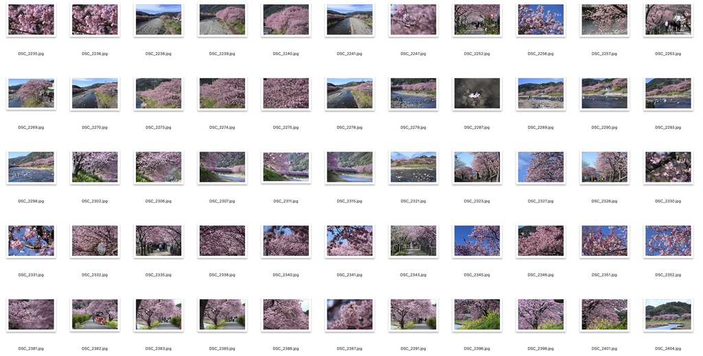 【背景資料画像】桜のある風景