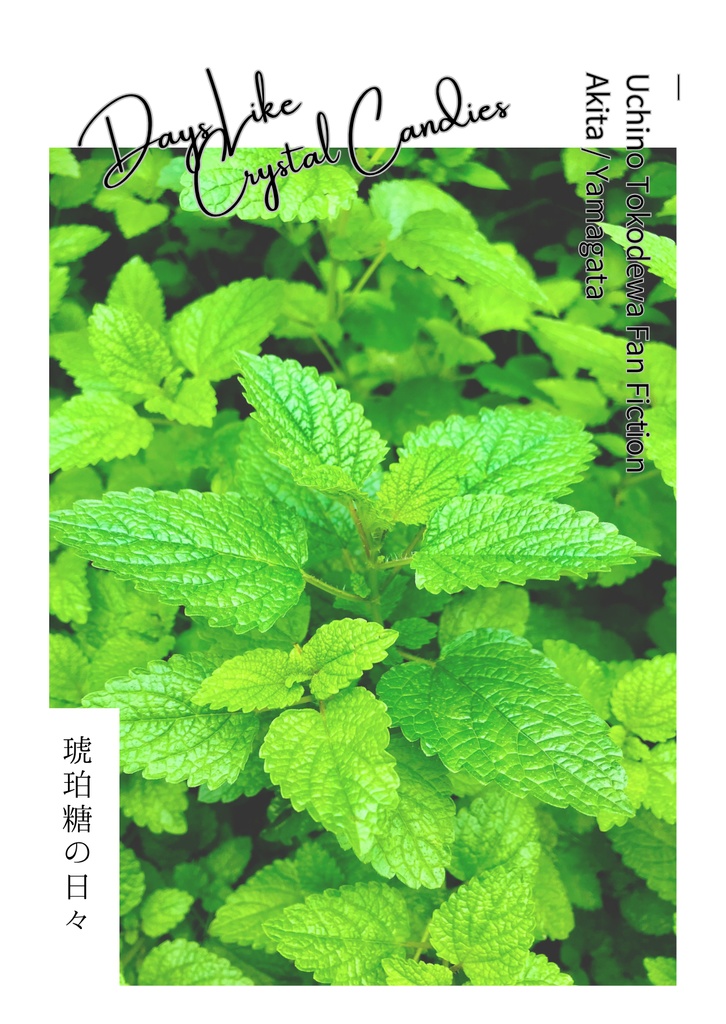 琥珀糖の日々