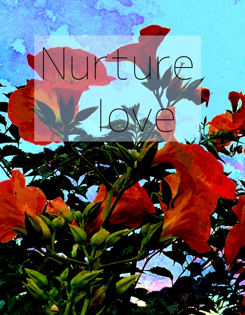 【龍夢本】Nurture love