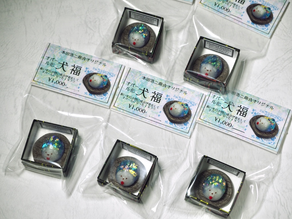 オパール化犬福