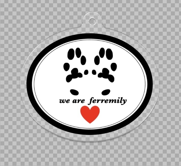 フェレット肉球