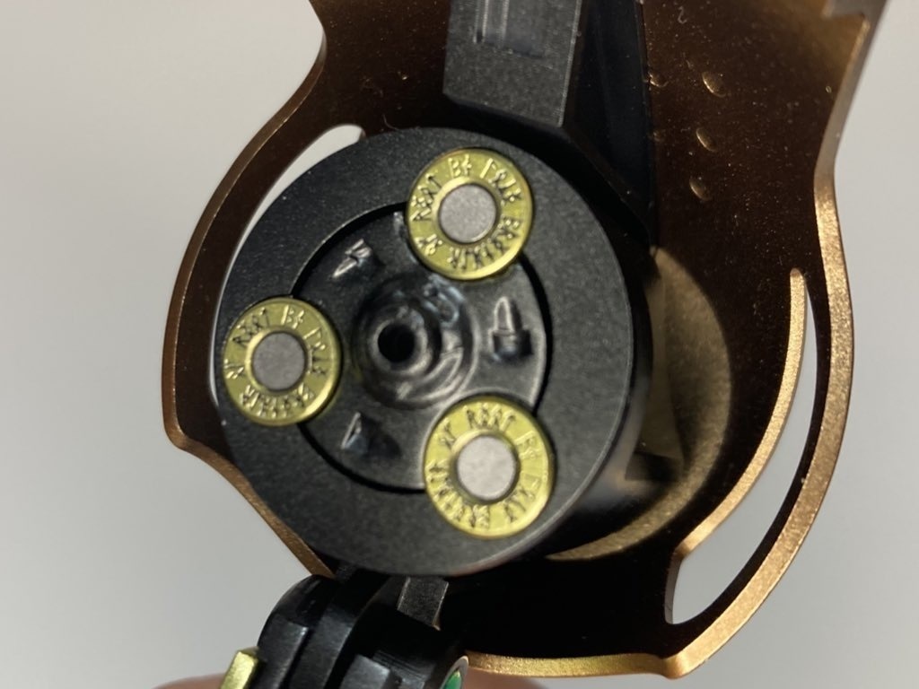 ライオット・リム