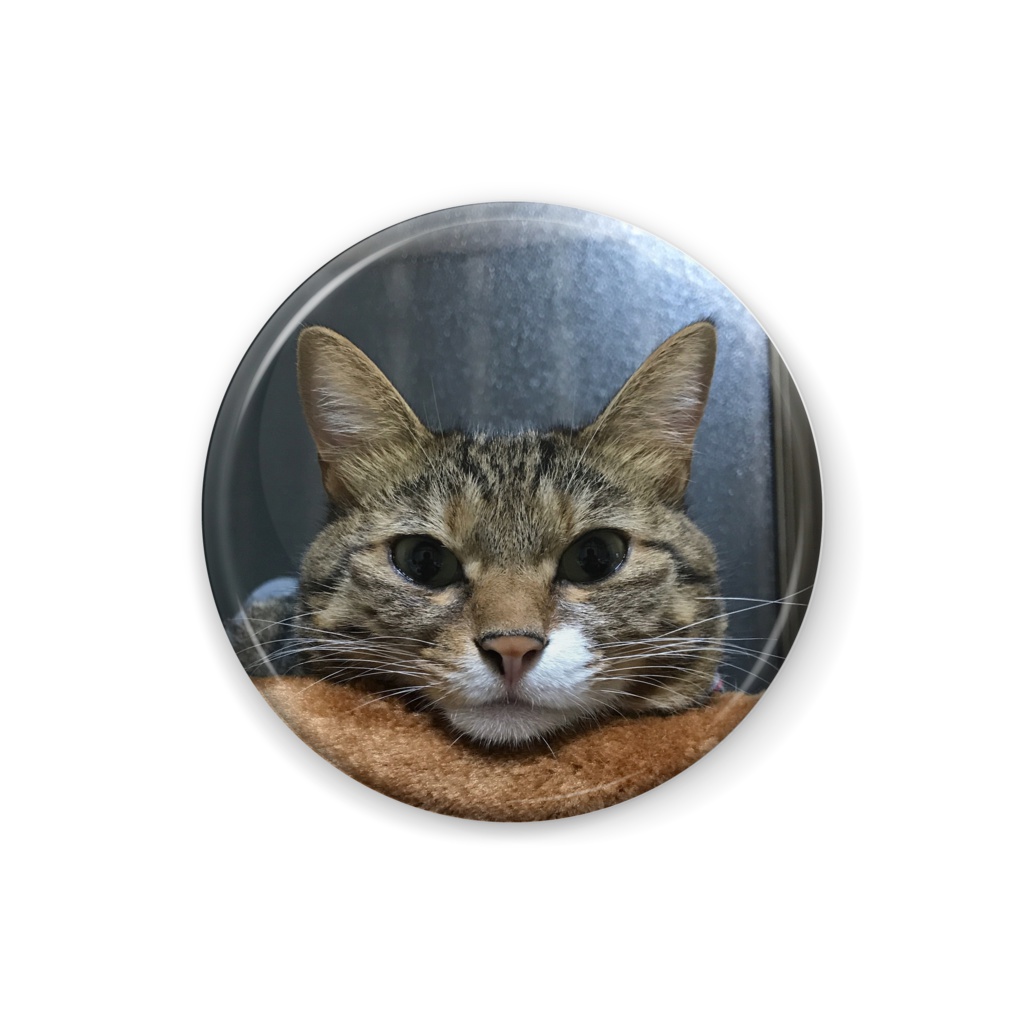 にゃんこバッジ