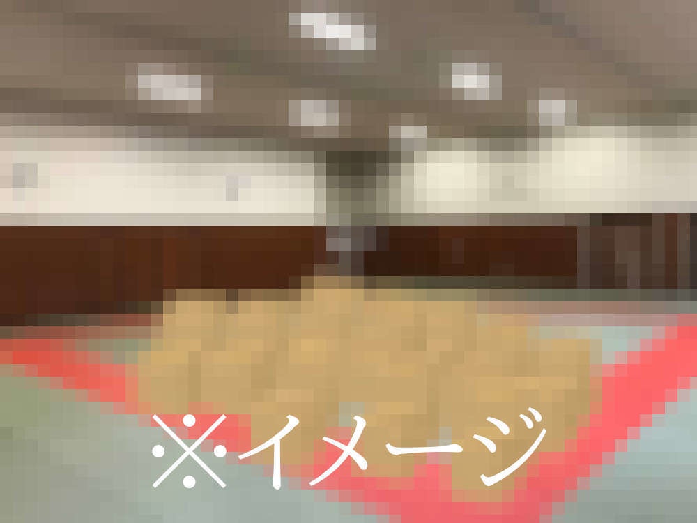 家宅捜索で押収されたシールと浜辺に漂着したパンフレット〔増補改訂縮刷版〕