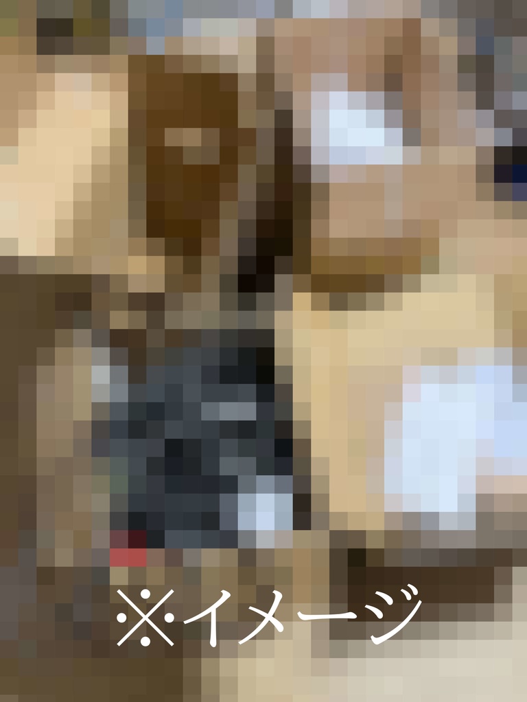 家宅捜索で押収されたシールと浜辺に漂着したパンフレット〔増補改訂縮刷版〕