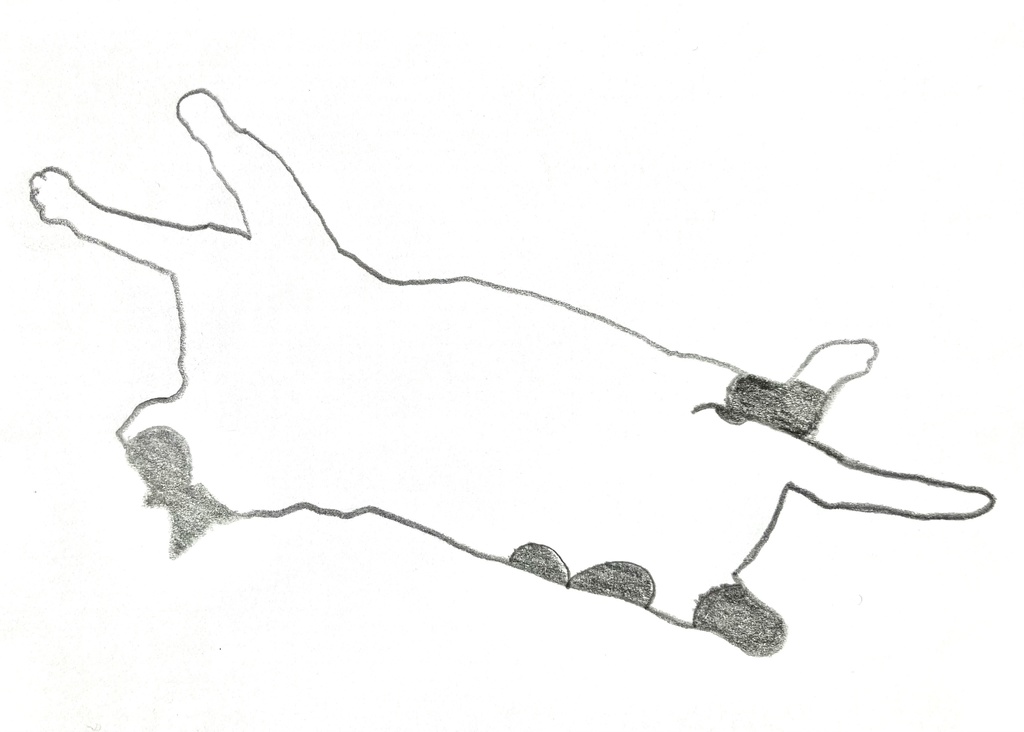 おちてるねこ 2024.3.8