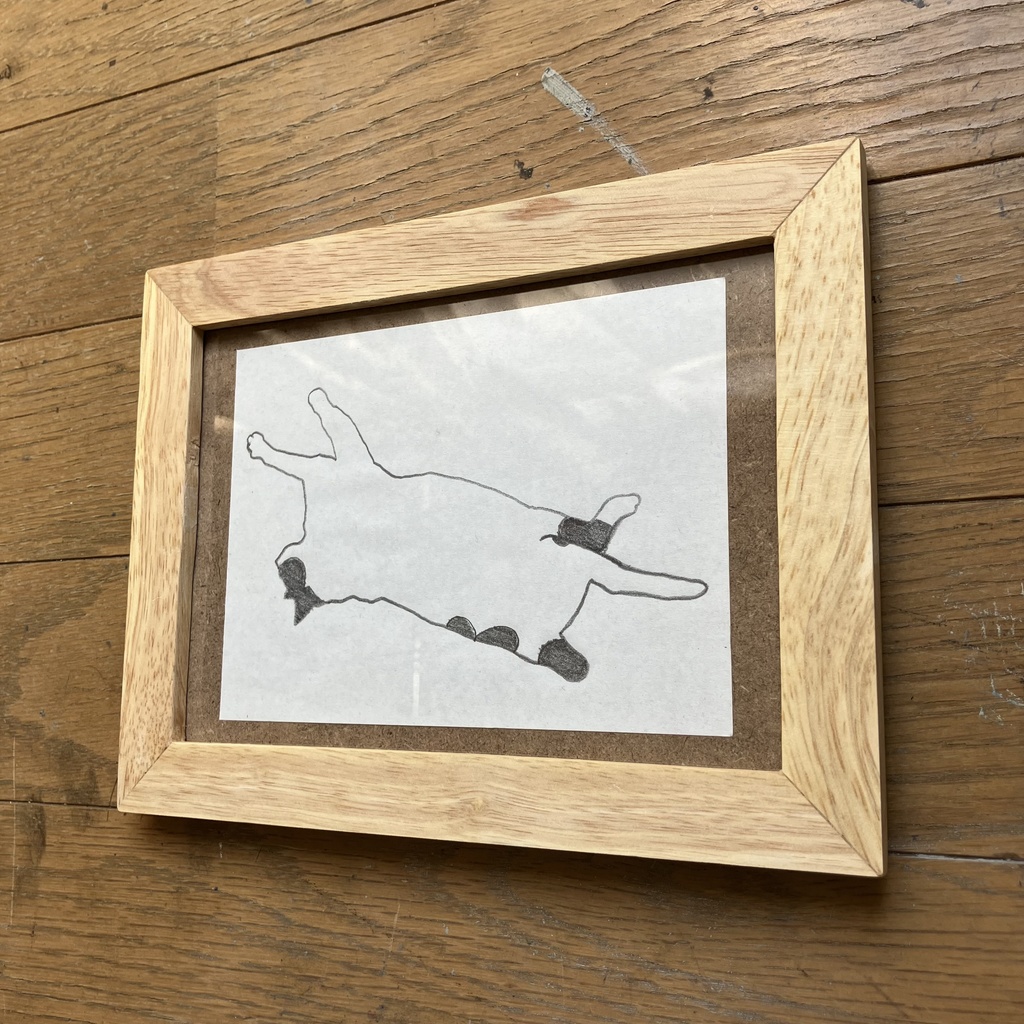 おちてるねこ 2024.3.8