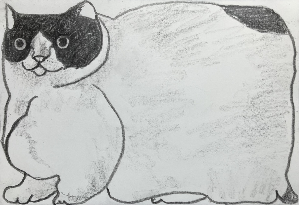 むちむちのねこ　2024.5.2