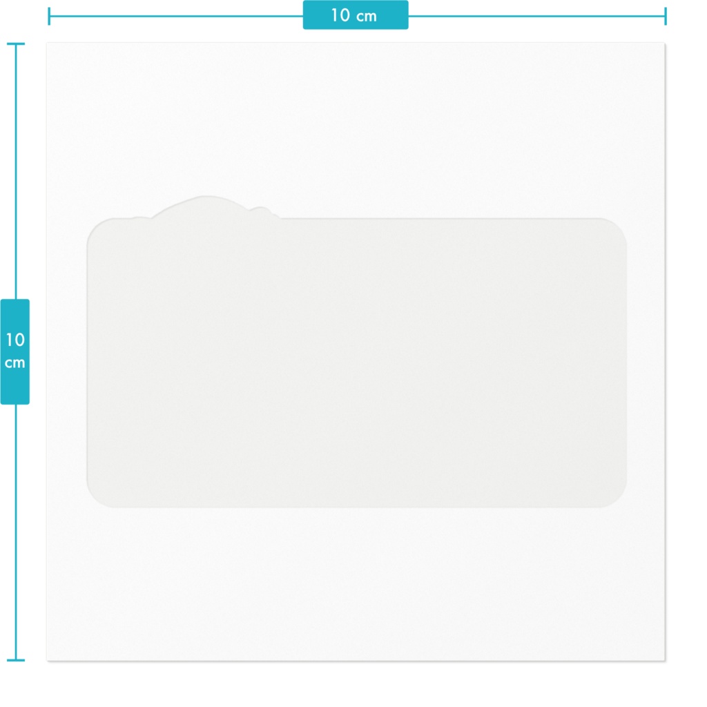 DC東方Projectステッカー 四季映姫・ヤマザナドゥ あおり運転防止ステッカー02