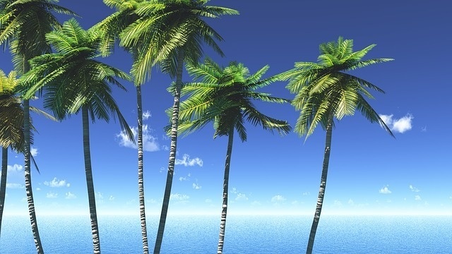 【夏系】Summmer【BGM】
