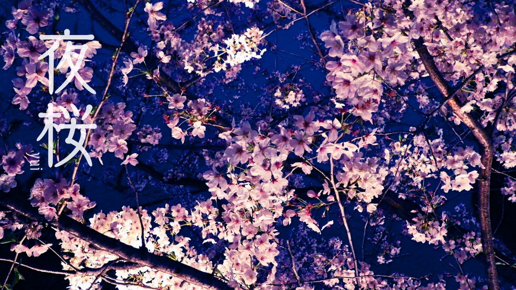 【BGM】夜桜