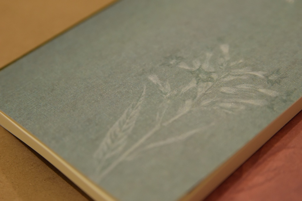 欠損依存 -Crimson-