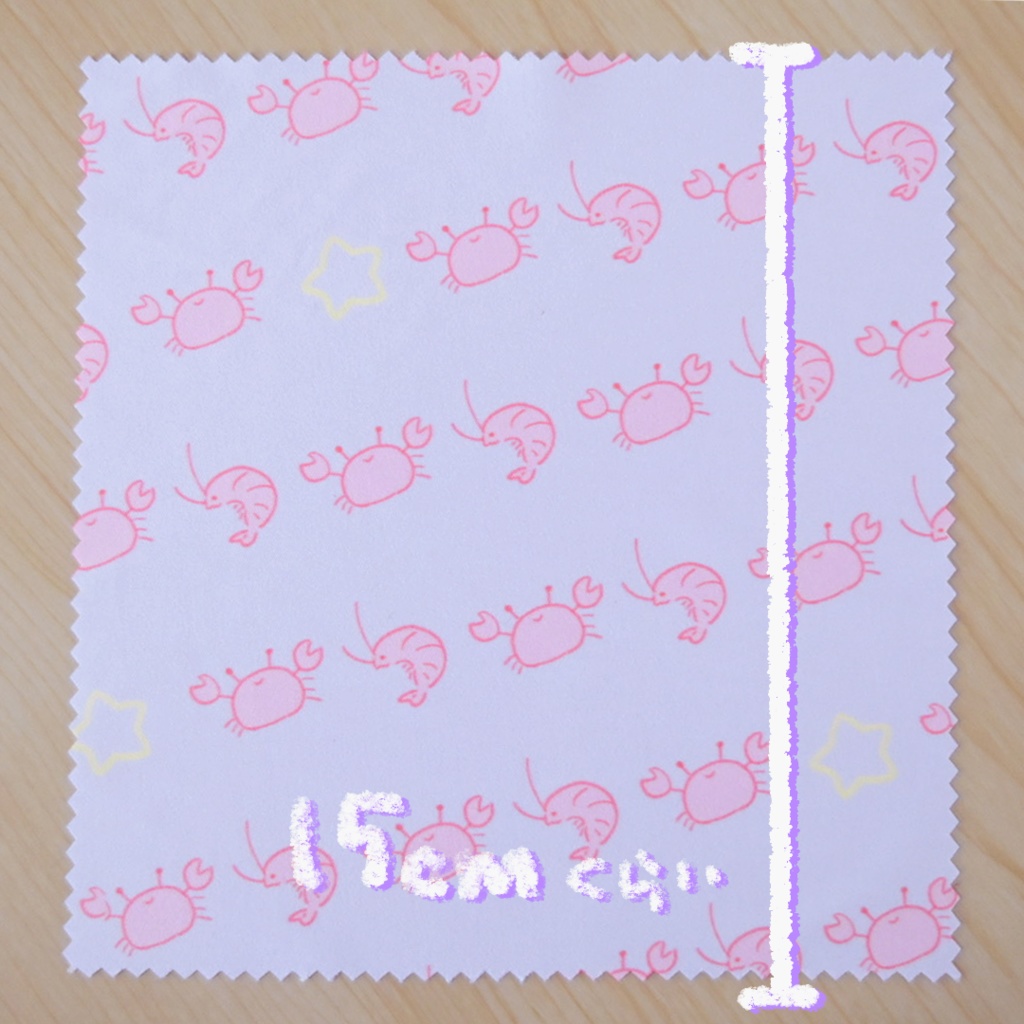 EBIKANIメガネ拭き