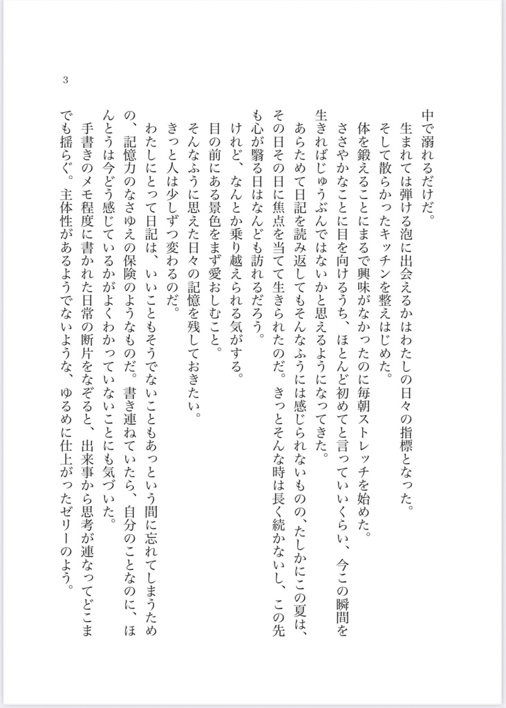 *新刊*2年ぶりの日記ZINE『どうするかはあとで考えよう』