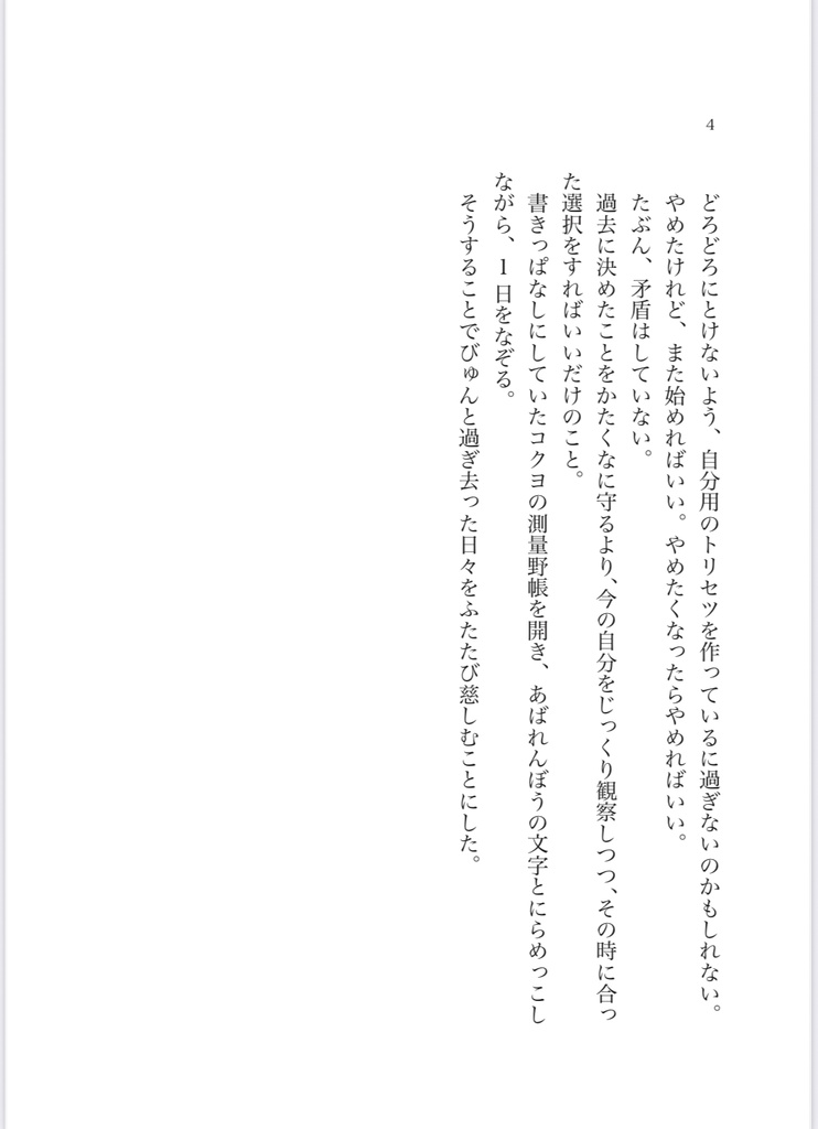 *新刊*2年ぶりの日記ZINE『どうするかはあとで考えよう』