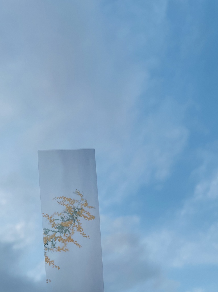 \ new !! / flower bookmark