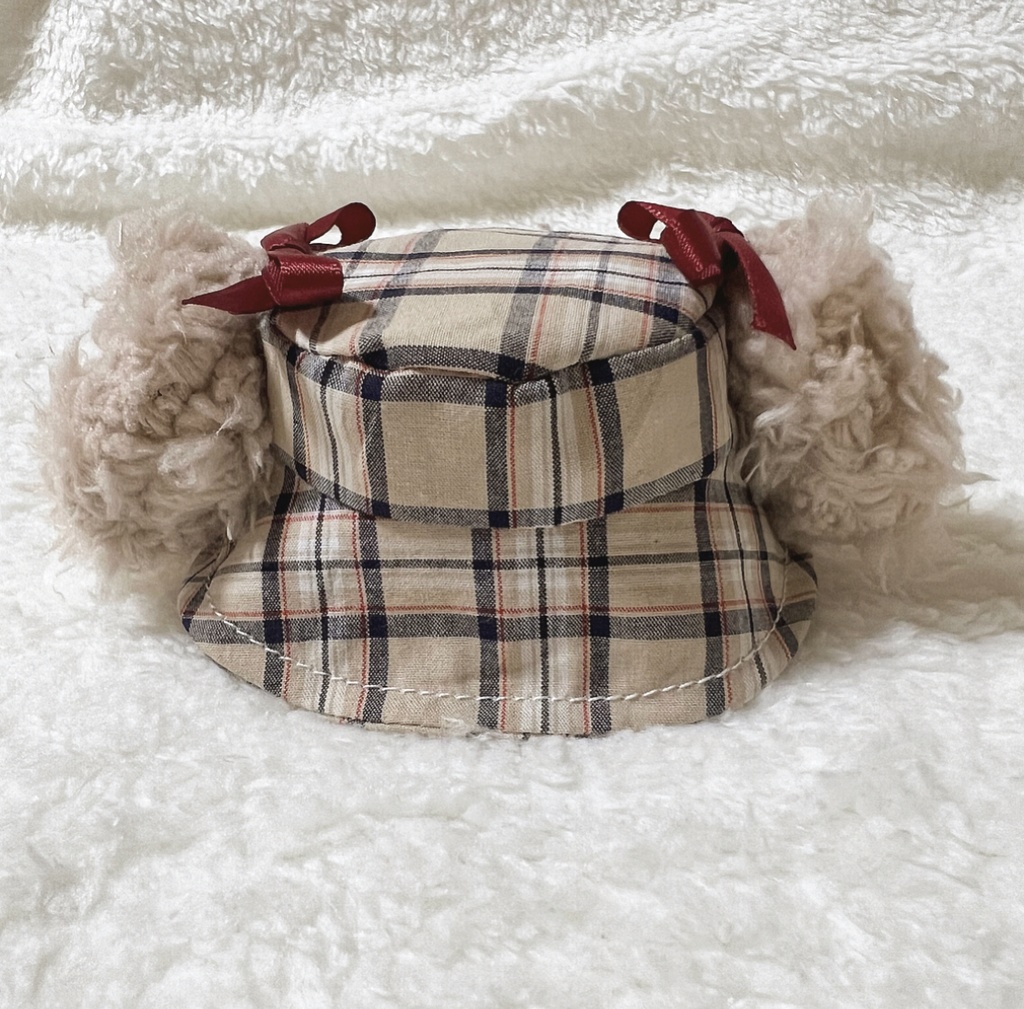 わんわんバケハ(ぽわぽわ耳୨୧)