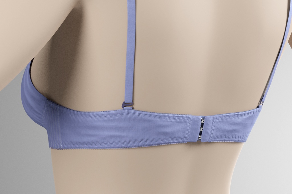 3Dモデル ブラ・パンティセット