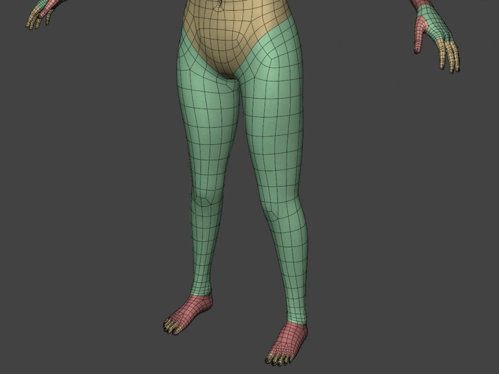3Dモデル Female Clean Base Mesh(クリーンな女性のベースメッシュ)