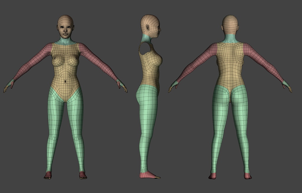 3Dモデル Female Clean Base Mesh(クリーンな女性のベースメッシュ)