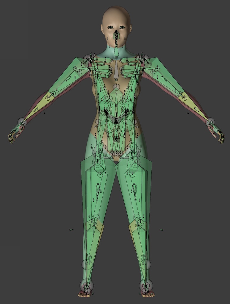 3Dモデル Blender Advanced Skeleton Female Base Mesh(リギング済みベースメッシュ)