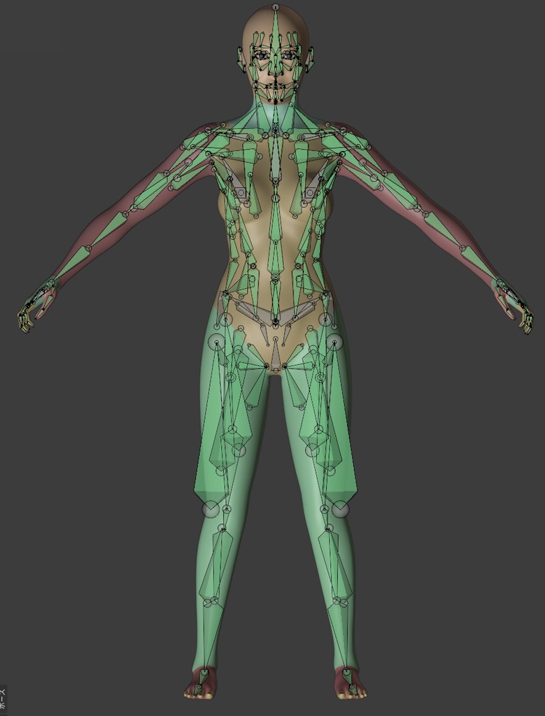 3Dモデル Blender Advanced Skeleton Female Base Mesh(リギング済みベースメッシュ)