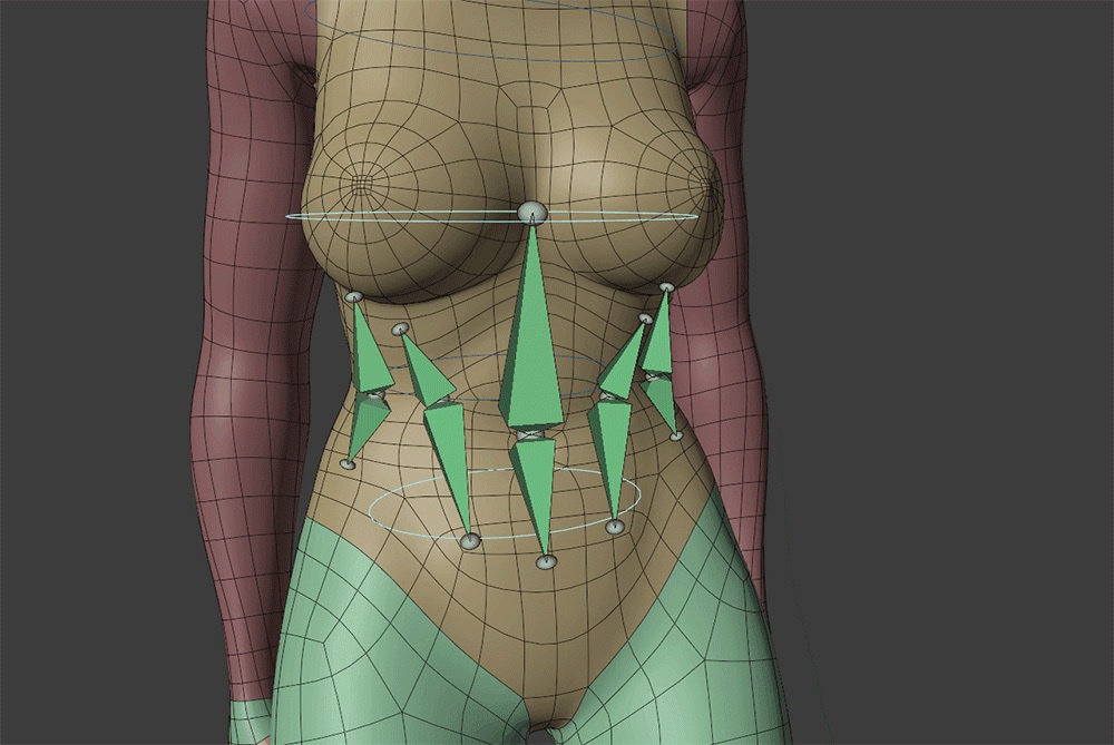 3Dモデル Blender Advanced Skeleton Female Base Mesh(リギング済みベースメッシュ)