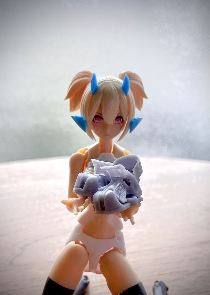 丙種軽量吸着磁靴 krak-ё