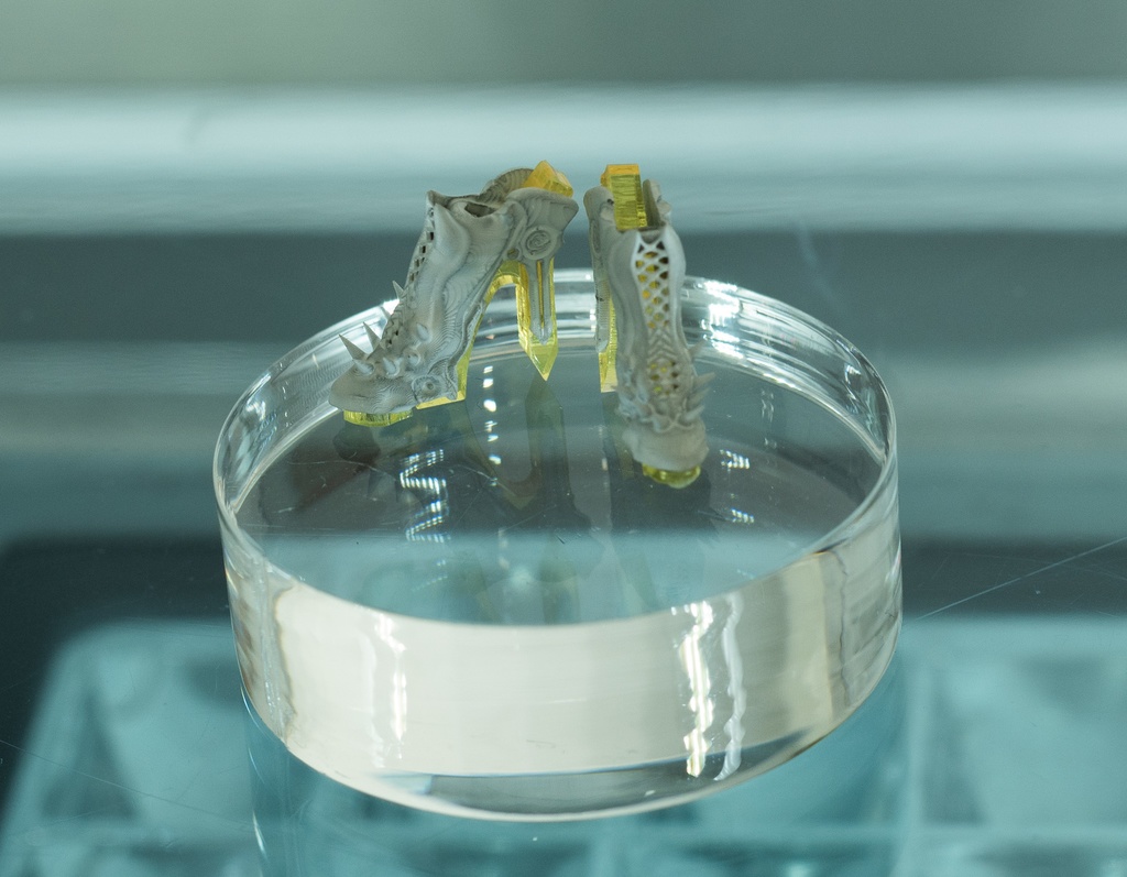 丙種透材靴shoe-§03