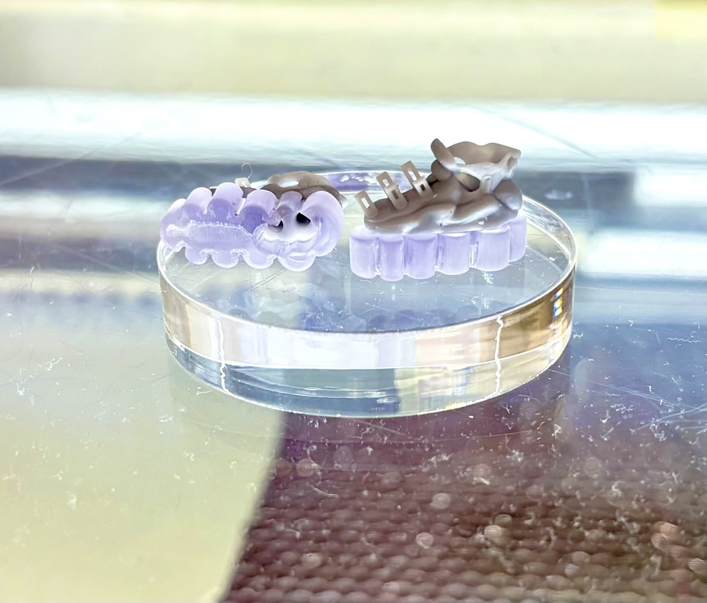 丙種透材靴shoe-§05 "plug"