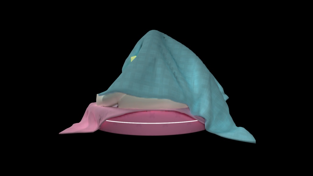 ファンシーベッド