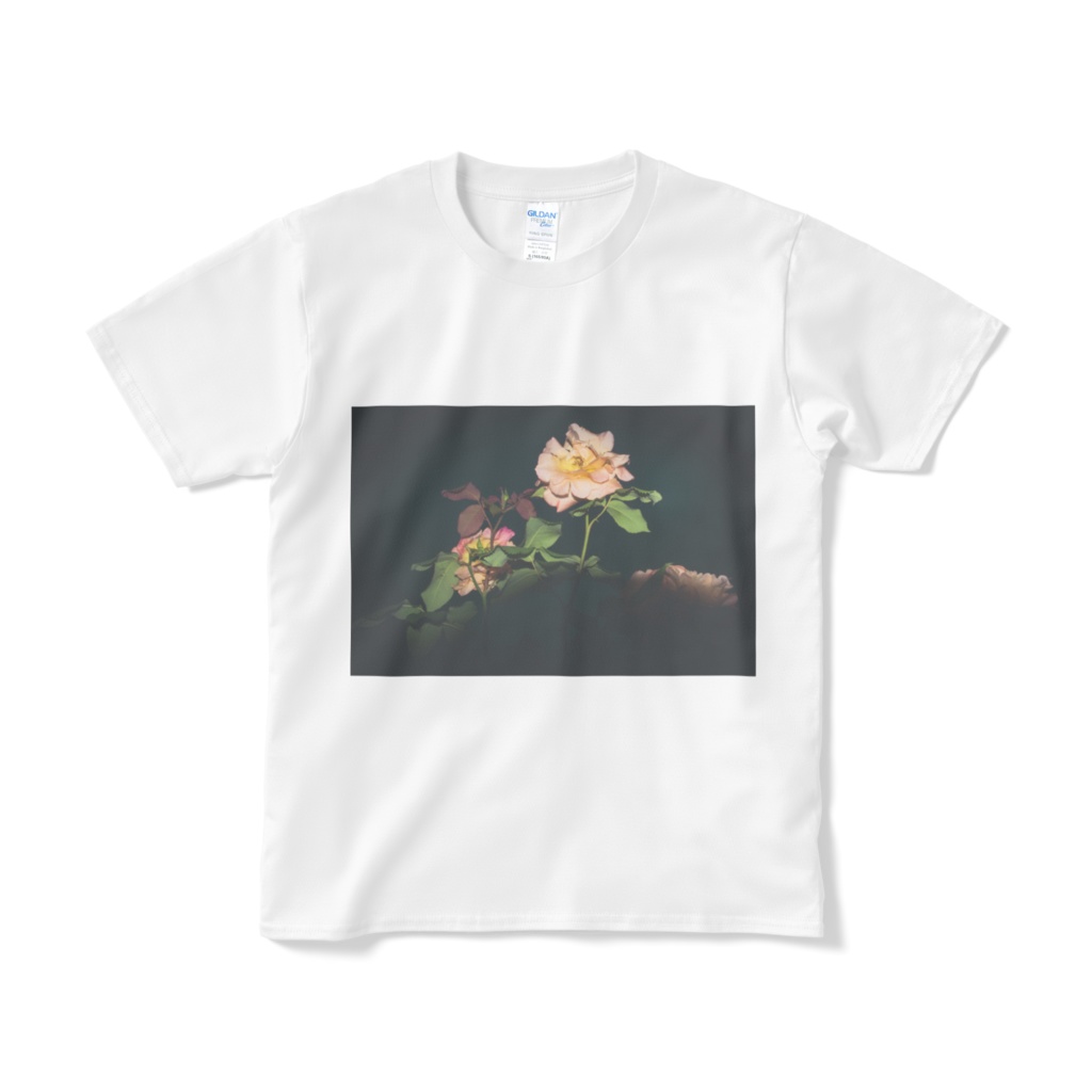 夜の薔薇Tシャツ
