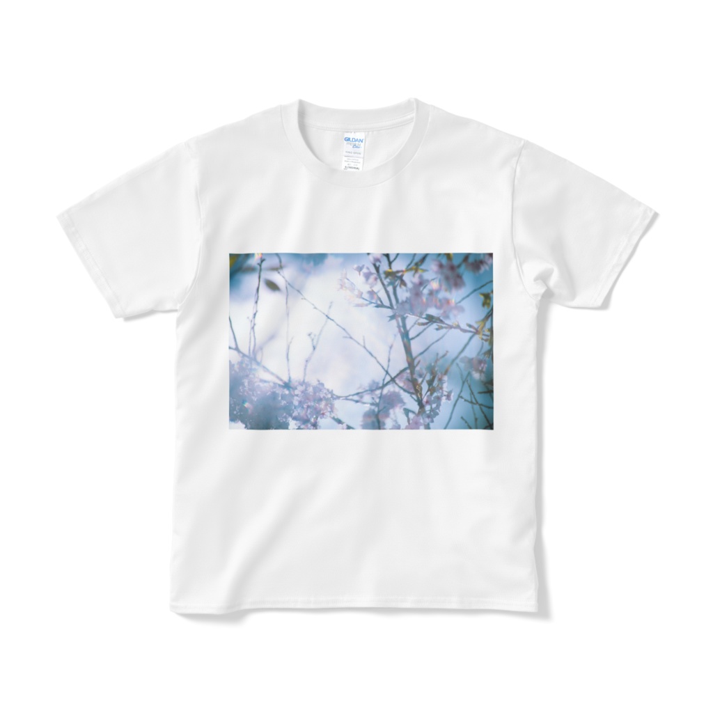 桜Tシャツ