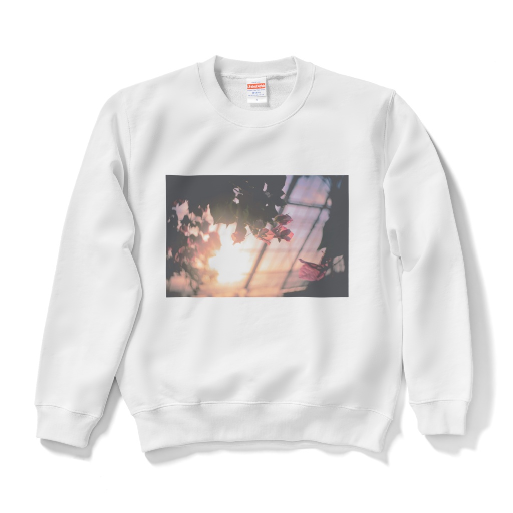 ブーゲンビリアｽｴｯﾁｮ