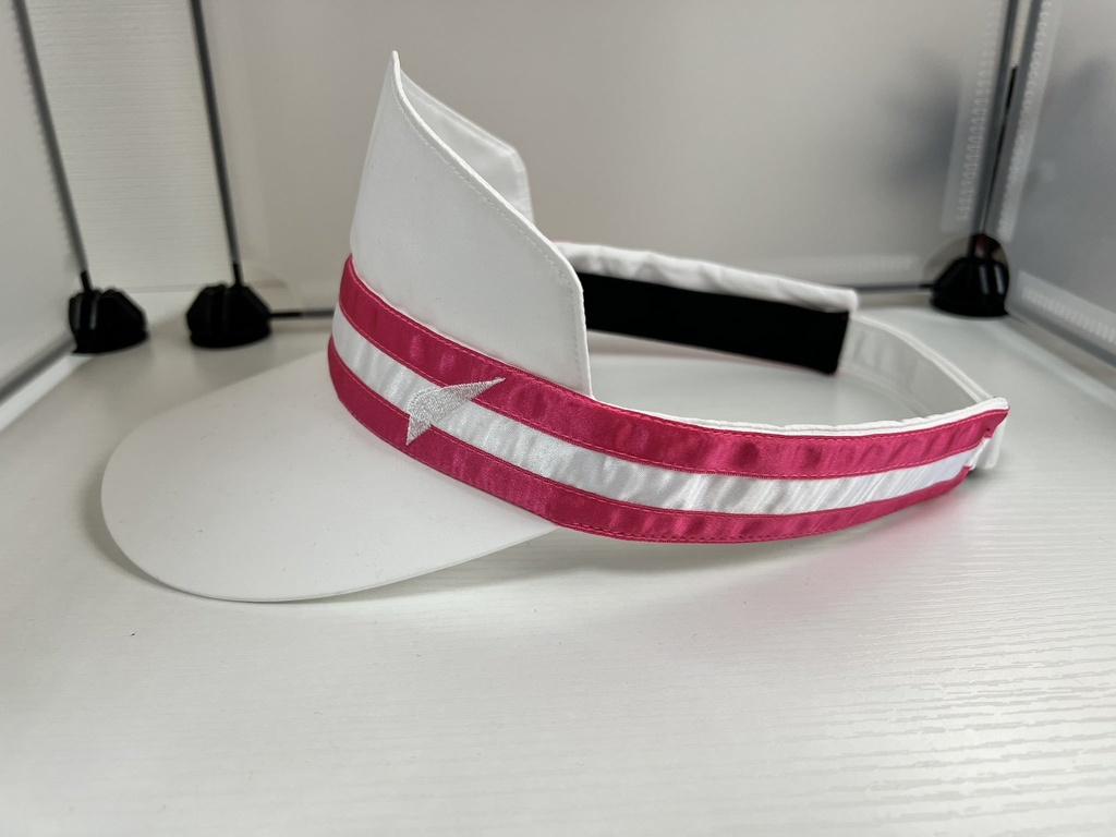 アイネスフウジンサンバイザーセット