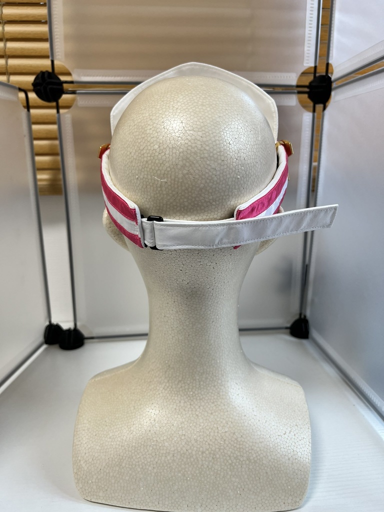 アイネスフウジンサンバイザーセット