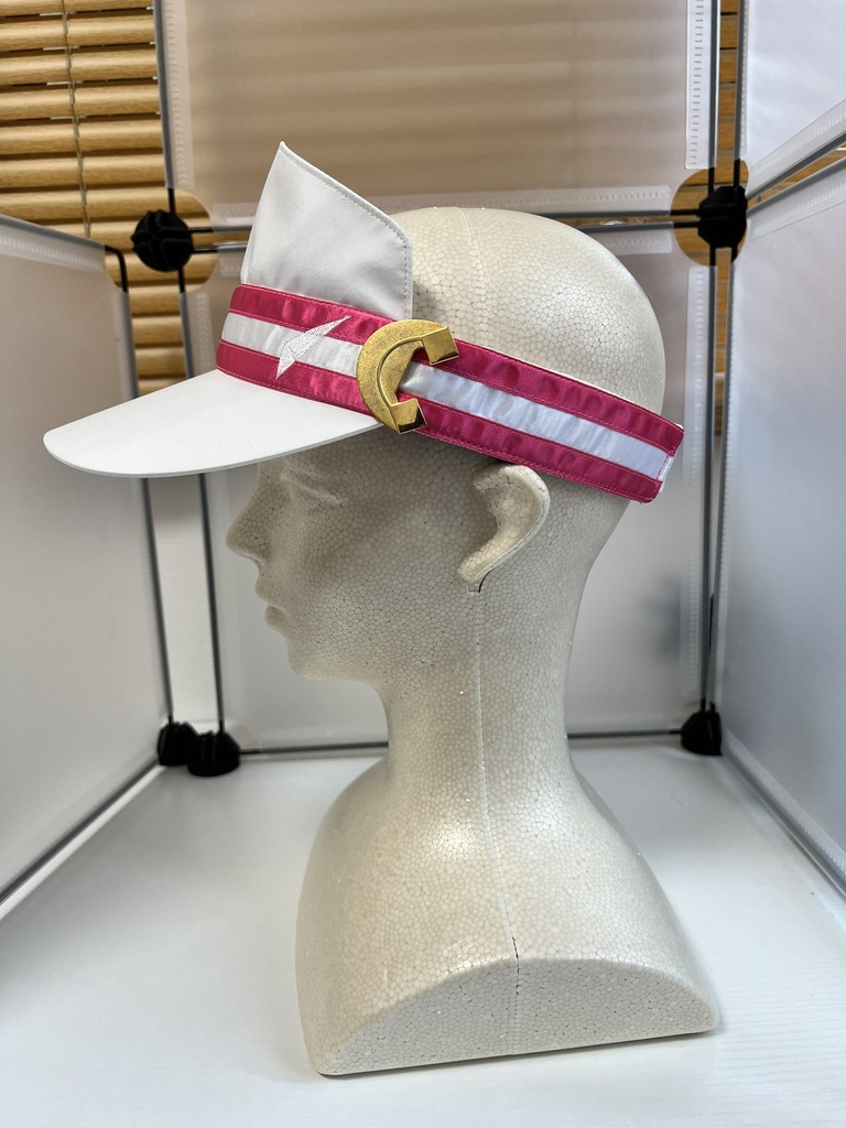 アイネスフウジンサンバイザーセット