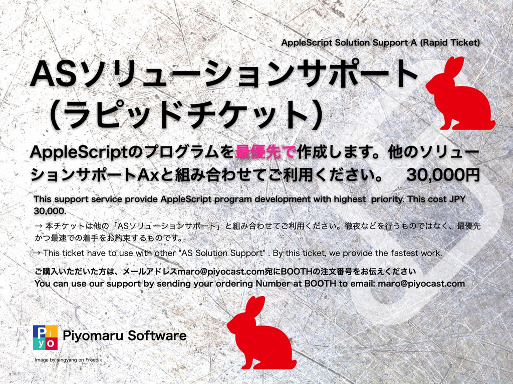 ASソリューションサポートA　ラピッドチケット