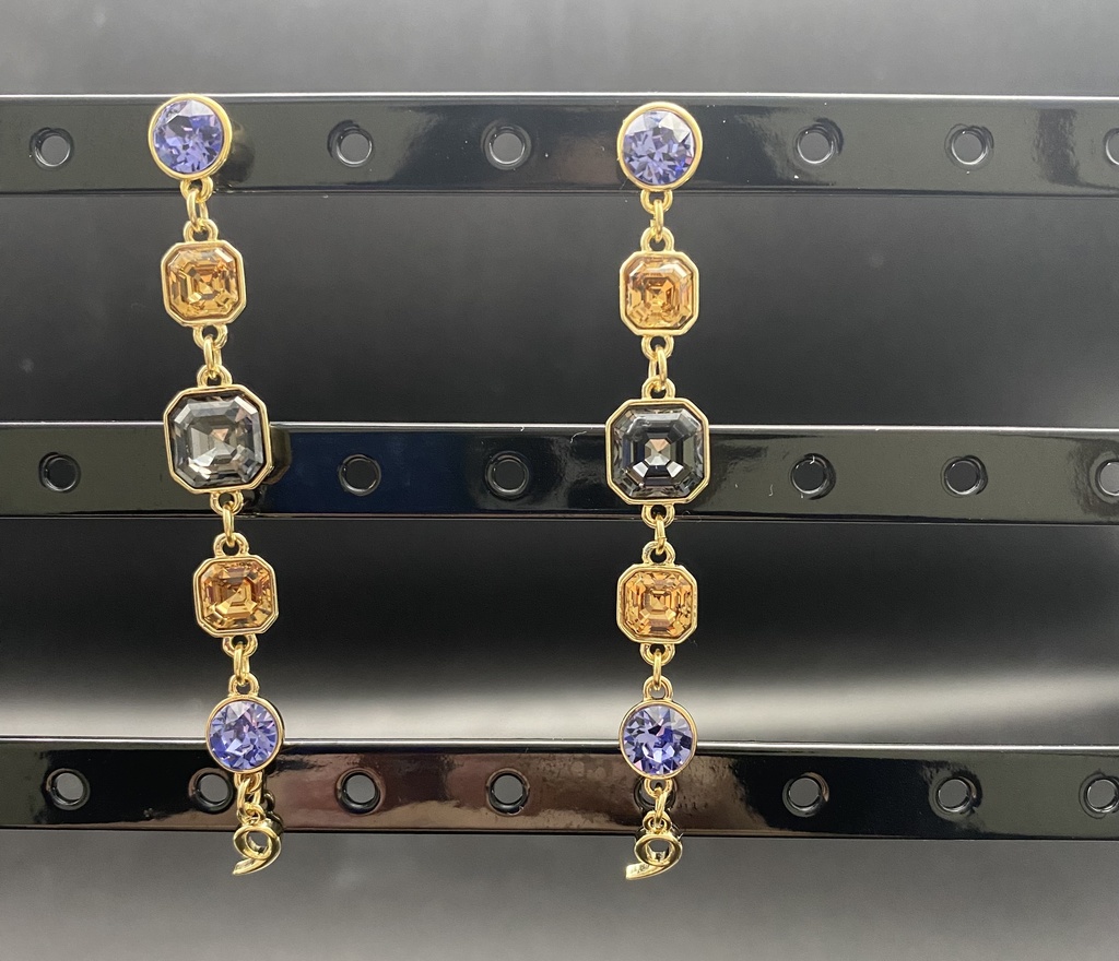 プロシュート風ピアス