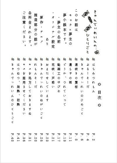 【TRN夢小説】きゃんでぃれいんのひとりごと