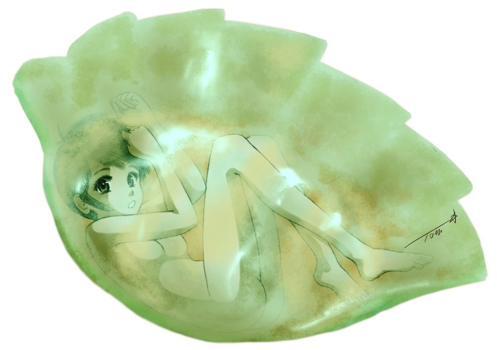 水餃子娘クッション(エビver.&ヒスイver.:両面)