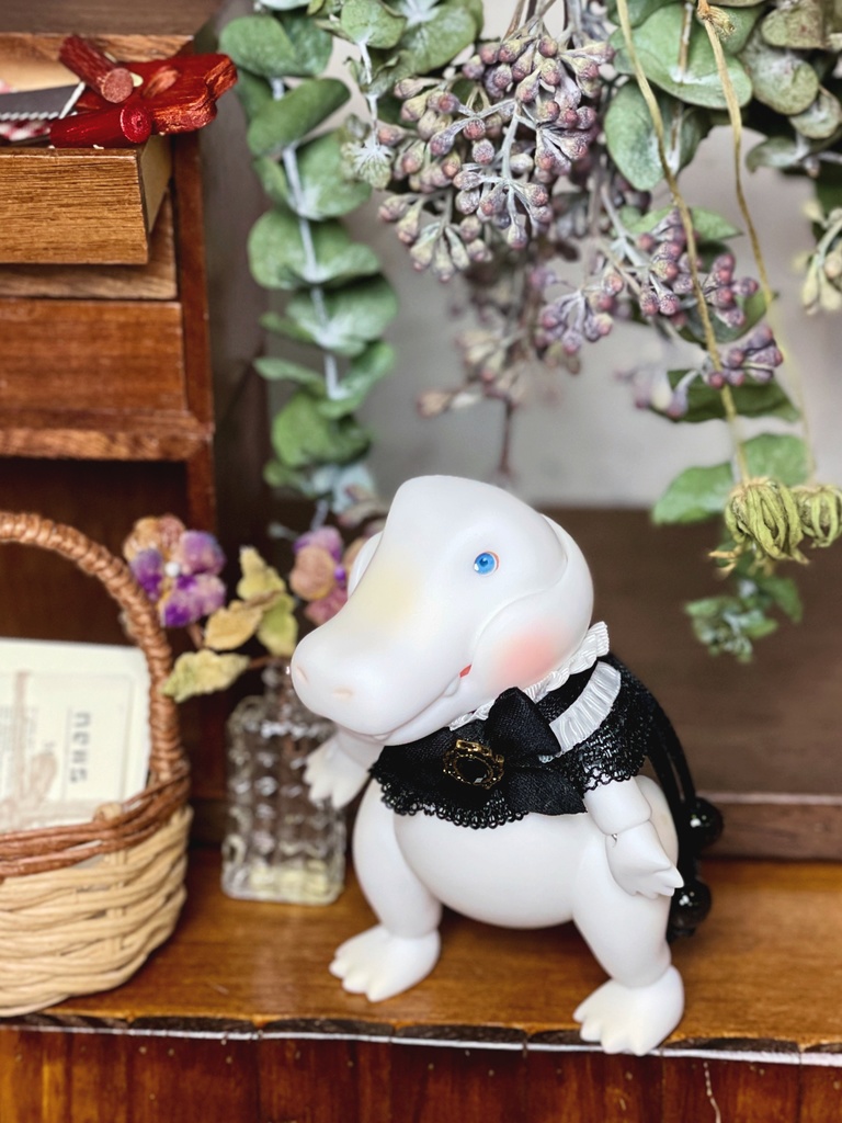 【Hatter's Grove】ワニ ZUCCHINI