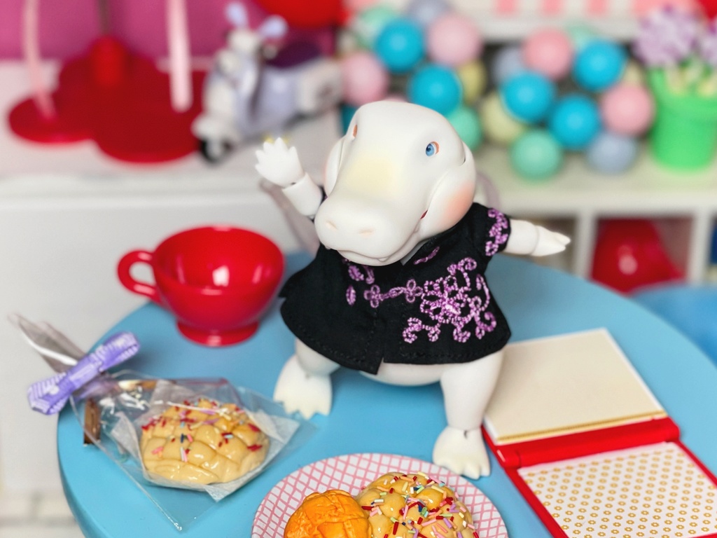 【Hatter's Grove】ワニ ZUCCHINI