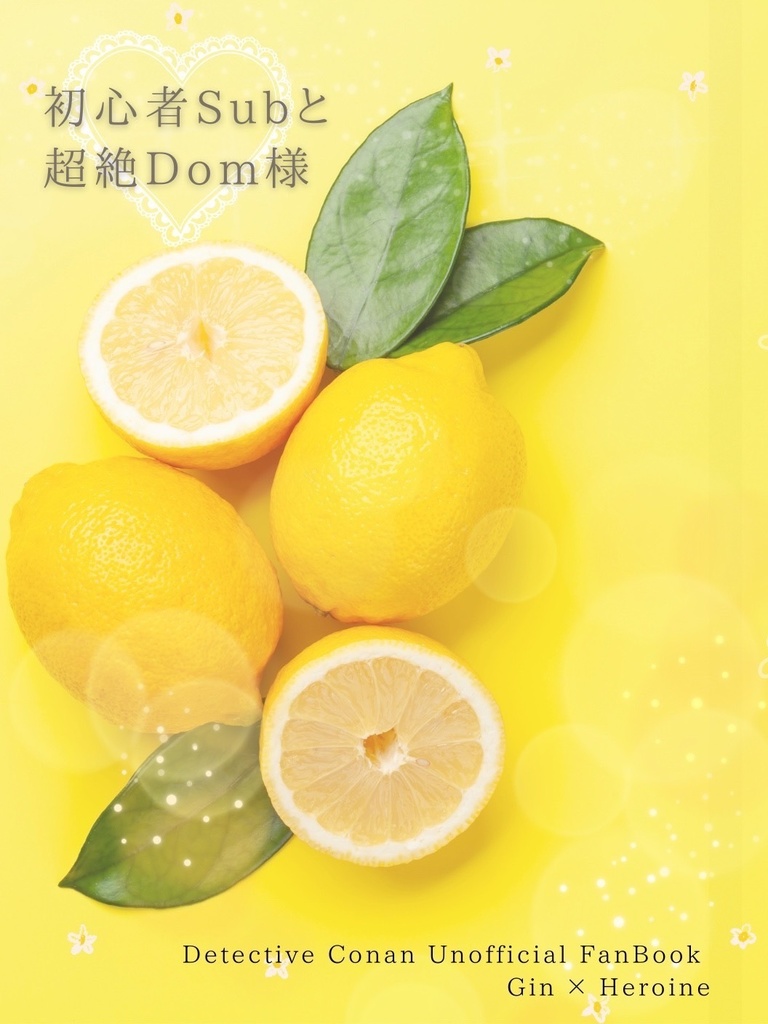 初心者Subと超絶Dom様
