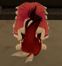 한국 설/추석 세배 절하기 korea motion