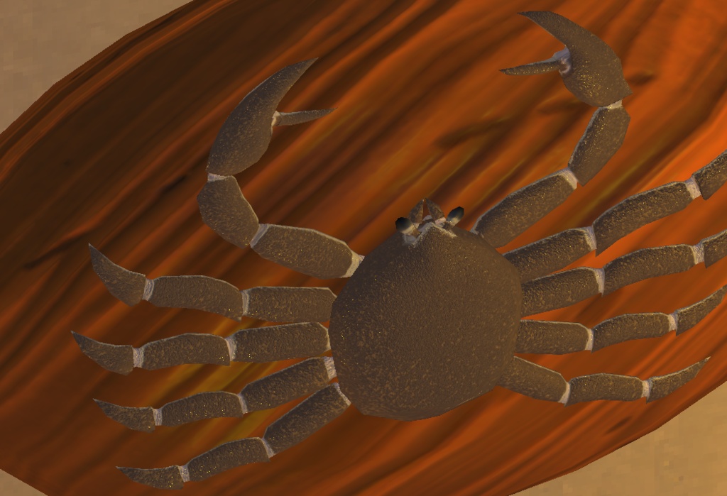 3Dカニモデル モーション付き