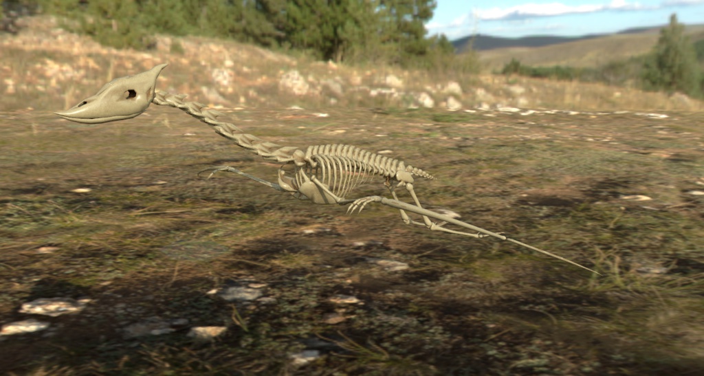 プテラノドンの近種